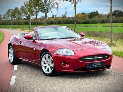 Jaguar XK 4.2 V8 Convertible / YOUNGTIMER / FULL SERVICE FILE / XK SPECIALIST