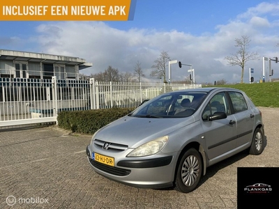 Peugeot 307 1.4 XT