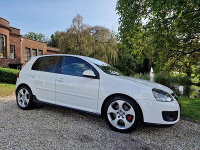 Volkswagen Golf 2.0 TFSI GTI 60 5-deurs AIRCO/cruise