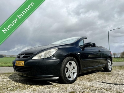 Peugeot 307 CC 1.6-16V, BJ 2004, Lage km, PDC, Leer, Airco