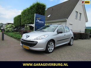 Peugeot 206 + 1.1 Accent (Elektrische ramen,Lm velgen)