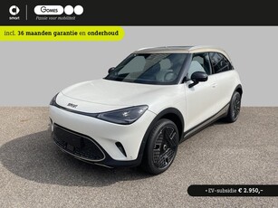 Smart #1 Launch Edition 66 kWh Panoramadak | Beats Audio | 1/1000