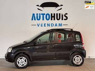 Fiat Panda 1.2 Professional 4x4