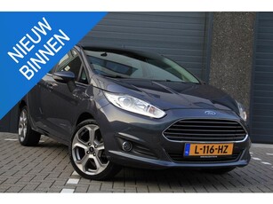 Ford Fiesta 1.0 Titanium Airco ST-Line Velgen