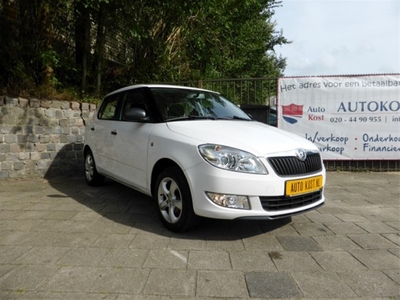 Škoda Fabia 1.2 TDI 5drs Greenline 50% KORTING (bj 2013)