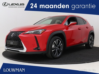 Lexus UX 250h Business Line | Safety System | 18