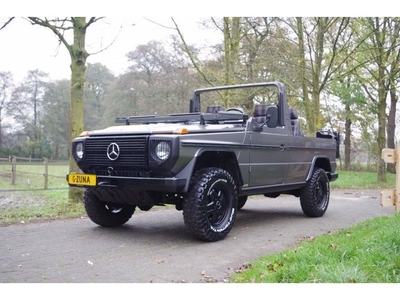 Mercedes-Benz G-klasse GD 250 LONG WOLF