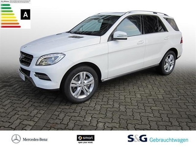 Mercedes-Benz ML 250 incl BTW/BPM ImportWereld.nl -