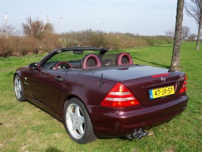 Mercedes-Benz SLK-klasse 230 Kompr AMG AUTOM UNIEK in NL