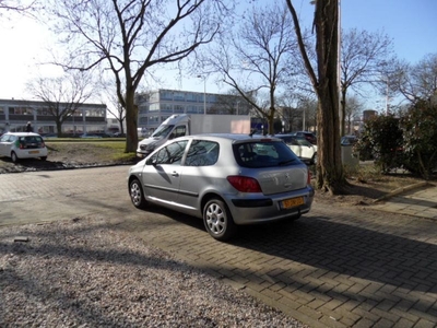 Peugeot 307 1.4 XS (2002)