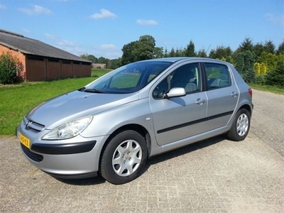 Peugeot 307 1.6 16V XT,5 drs,Clima,Verkocht!! (bj 2001)