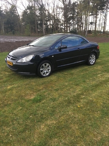 Peugeot 307 2.0 16v (2005)