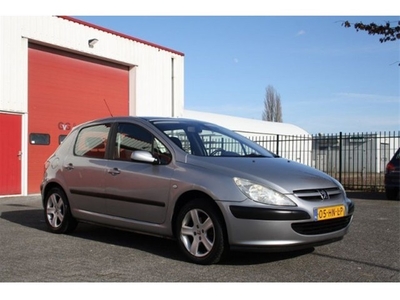 Peugeot 307 2.0 16v xs (bj 2001)