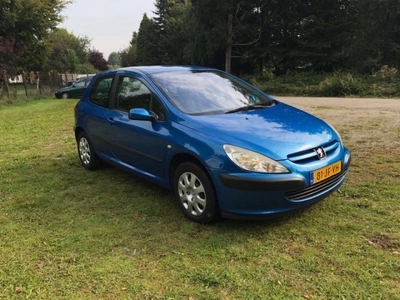 Peugeot 307 VERKOCHT!!!!! (bj 2002)