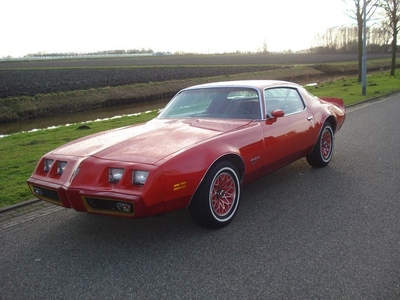 Pontiac Firebird Redbird 4.9 v8 (bj 1979, automaat)