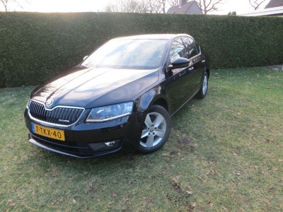 Skoda Octavia 1.6 TDI Greenline Businessline XENON LED NAVI