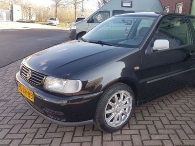 Volkswagen Polo 1.6 (1999)