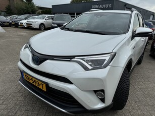 Toyota RAV4 2.5 Hybrid Executive Business full option