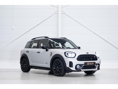 Mini Countryman Benzine