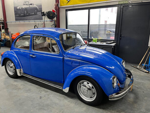 Volkswagen Kever Winterkever Ice Blue