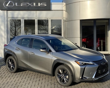 Lexus UX 250h Comfort Line NIEUW-TYPE TRIPLE-LED KOPLAMPEN BOCHTENVERLICHTING PARK-SENSOREN BLIND SPOT