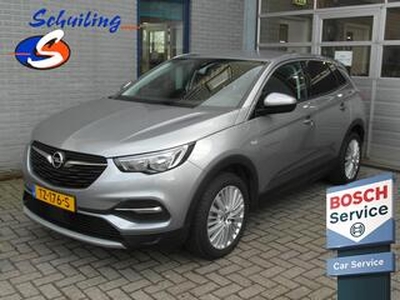 Opel Grandland X 1.2 Turbo Business Executive Inclusief afleveringskosten