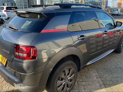 Citroen C4 Cactus 1.6 BlueHDi Busines Plus Panoramadak leer