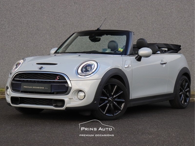 MINI Cabrio 2.0 Cooper S |HEADUP|CAMERA|H/K|LEDER|STOELVERW.|ORIG.NL