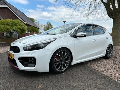 Kia Ceed 1.6 T-GDI GT 204 PK Verlagingsset,Sportuitlaat