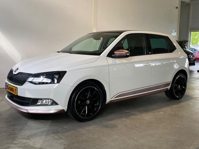 Skoda Fabia 1.2 TSI Monte Carlo NL-auto 1e eig.