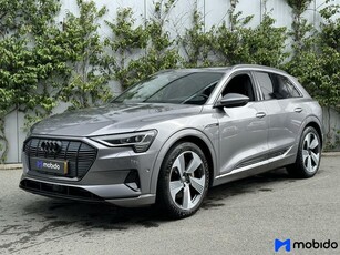 Audi e-tron 55 quattro Advanced Navigatie Leder