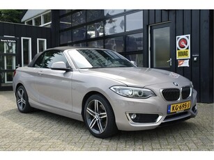 BMW 2 Serie Cabrio 220d 191 PK Luxury Line High Executive