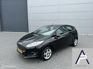 Ford Fiesta 1.0 EcoBoost 100Pk! Titanium X 5-deurs luxe