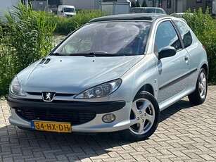 Peugeot 206 1.6-16V XS Premium Panoramadak Airco Leder