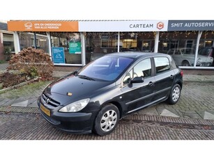 Peugeot 307 1.6-16V XS 5drs (bj 2001)