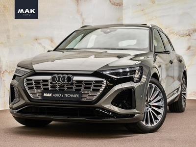 Audi Q8 e-tron 55 Quattro S Edition, Digitale matrix-LED, S