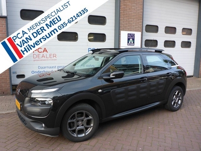 Citroën C4 Cactus 1.2 PureTech Shine Automaat, Multimedia