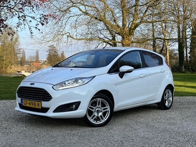 Ford Fiesta Hot Hatch Edition 101PK 5drs