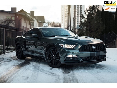 Ford Mustang Fastback 2.3 EcoBoost