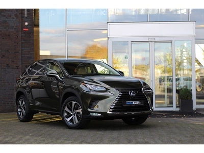 Lexus NX 300h AWD President Line, Terrane Khaki green