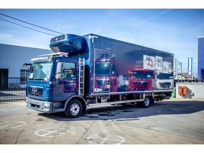 MAN TGL 12.220 BL - THERMOKING (bj 2013, automaat)