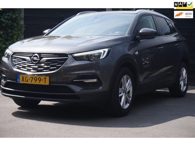 Opel Grandland X 1.2 Turbo Business + * Nieuwe Distributie