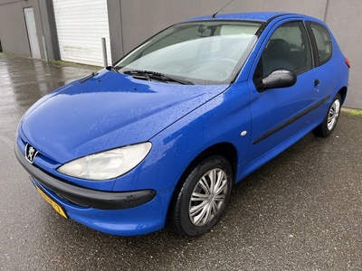 Peugeot 206 1.1 XN (bj 2002)