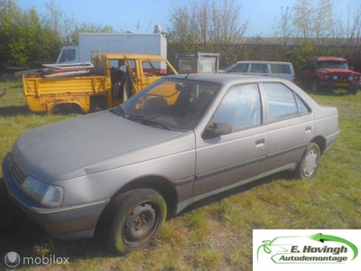 Peugeot 405 1.6 GR kat. schuurvondst