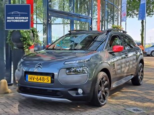 Citroen C4 Cactus 1.6 BlueHDi Business Plus Panodak