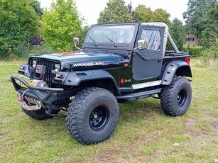 Jeep Wrangler 4.0i Wagon (bj 1993)