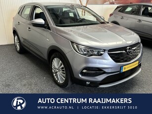 Opel Grandland X 1.2 Turbo Business Edition 10 op Voorraad