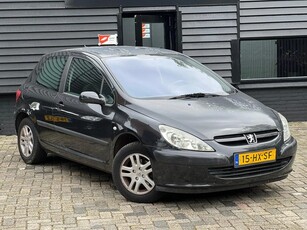 Peugeot 307 1.6-16V XS (bj 2002)