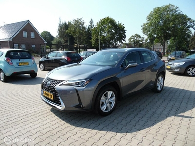 Lexus UX 250h Comfort Line Camera Navi Fabrieksgarantie