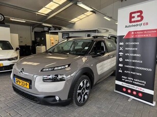 Citroen C4 Cactus 1.2 PureTech Business Plus